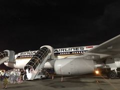 -新加坡航空公司(ION)