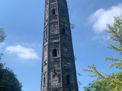 -上海佘山国家森林公园天马山园