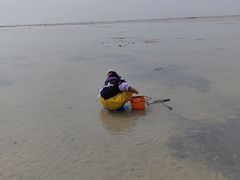 -红树林天天赶海