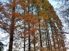 -无锡惠山寺
