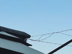 -她说户外烧烤团建(西湖店)