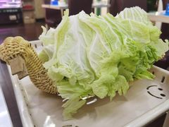 -竹荪鹅火锅(新华店)