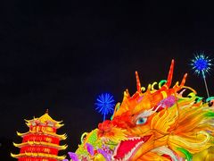 -武汉园博园(武汉自然博物馆)