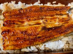 -料亭菊水楼