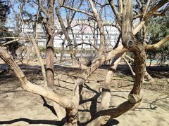 -元大都城垣遗址公园