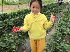 -小鱼草莓采摘园农家乐·小鱼餐厅
