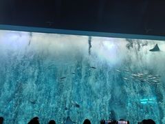 -波塞冬旅游度假区