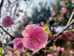 -乌山风景区