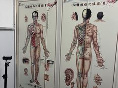 -脊元康推拿整脊养生馆