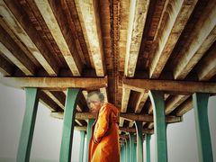 -宝安西湾红树林湿地公园