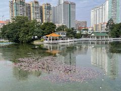 -荔湾湖公园