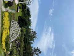 -小麦岛公园