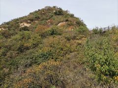 -大岭沟猕猴桃谷风景区
