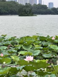 -宝生月子中心(民治店)