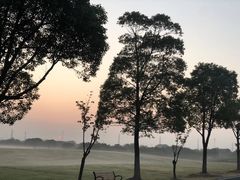 -漕湖湿地公园
