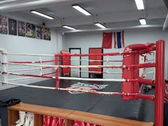 -TFC 纯泰拳馆MuayThai