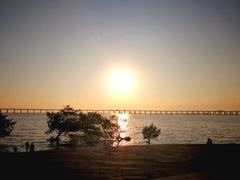 -宝安西湾红树林湿地公园