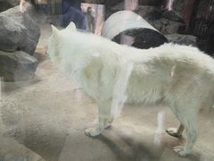 -杭州野生动物世界