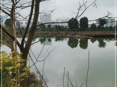 -芦仙山景区-飞越丛林探险乐园