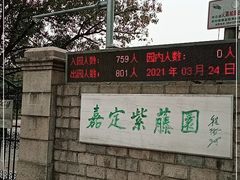 -嘉定紫藤园