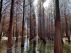 -滇池海埂公园
