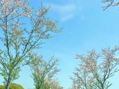 -梁鸿国家湿地公园