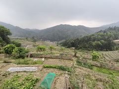 -南靖田螺坑土楼群景区
