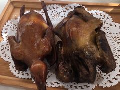 -食家鸽园