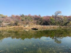 -周口店坡峰岭风景区