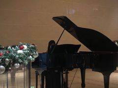 -羿庭(外滩华尔道夫酒店)