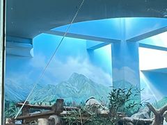-武汉动物园