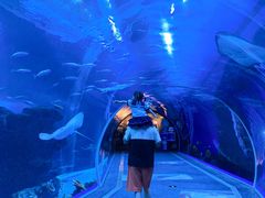 -成都浩海立方海洋公园