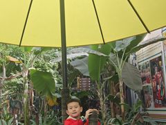 -呀路古热带植物园