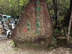 -大鄣山卧龙谷景区