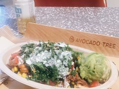 -油梨树AVOCADO TREE(嘉里中心店)