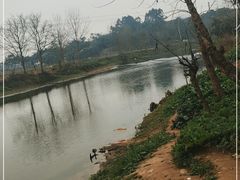 -苏记溪河鲢鱼庄(天府新区店)