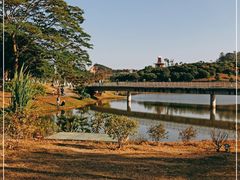 -东莞植物园