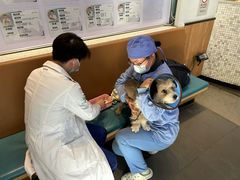-联合动物医院(光谷诊疗中心)