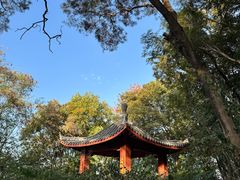 -福建师范大学(仓山校区)