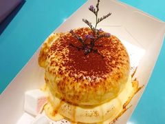 小提苏梳乎厘-狐狸和向日葵(北京路店)