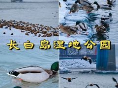 -吉林市博物馆