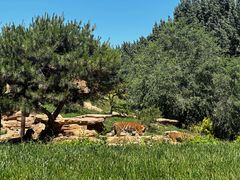 -北京野生动物园