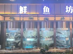 -老船舫·现做活鲜鱼馆(东郊记忆店)
