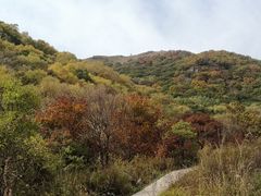 -灵山