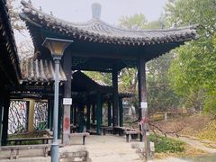 -桃花堤公园