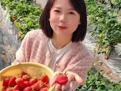 -盛世南宫影视城(北普陀影视城)
