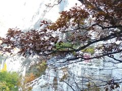 -嵩山少林文化旅游景区