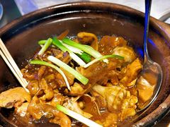 海螺啫走地鸡-粤凤佬