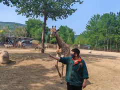 -大连森林动物园