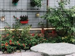 -西昌老号李小肠特色烧烤园(双流店)